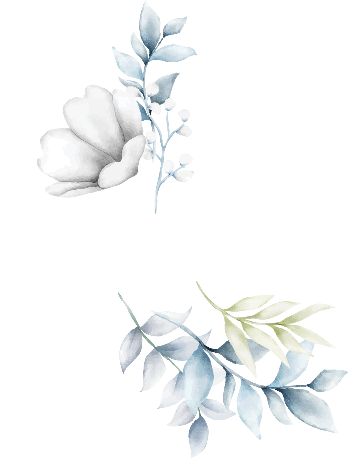 shape_1